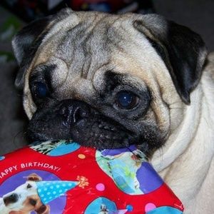 Meet your Posher, Angie